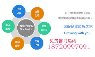 會計(jì) 會計(jì)的分類